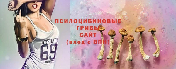 прущий лед Касимов
