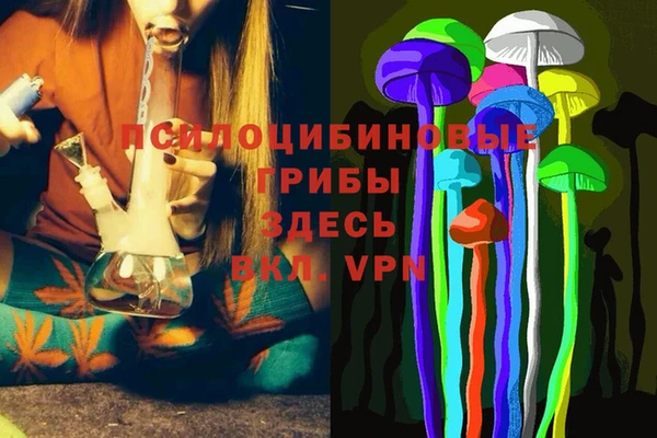 стафф Братск