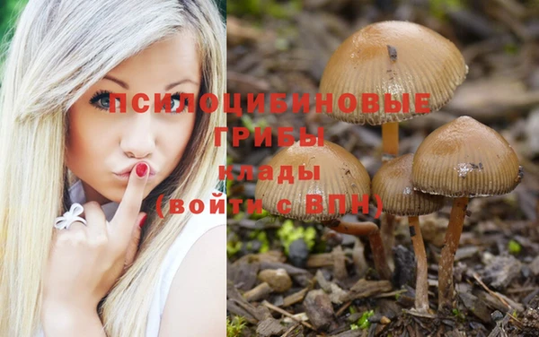 ECSTASY Каменск-Шахтинский