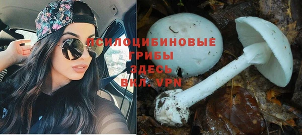 не бодяженный Карталы