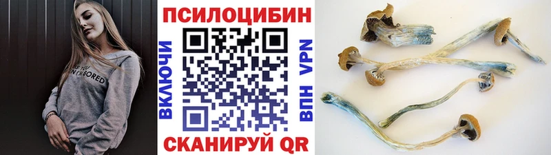 Галлюциногенные грибы прущие грибы маркетплейс телеграм Клин цены