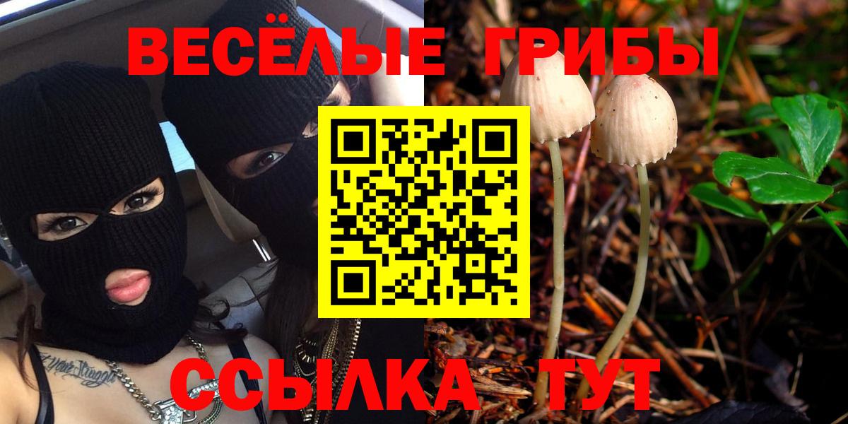 Клин  Галлюциногенные грибы Cubensis  Вход с VPN  Галлюциногенные грибы мицелий 