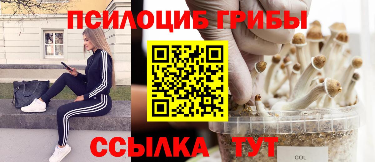 Галлюциногенные грибы Cubensis Клин