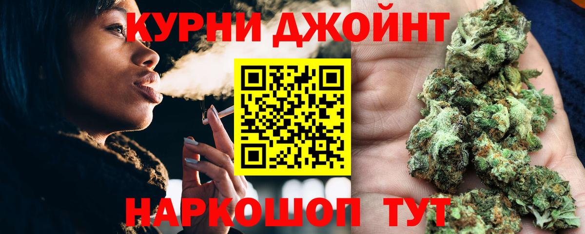 МАРИХУАНА сатива Клин
